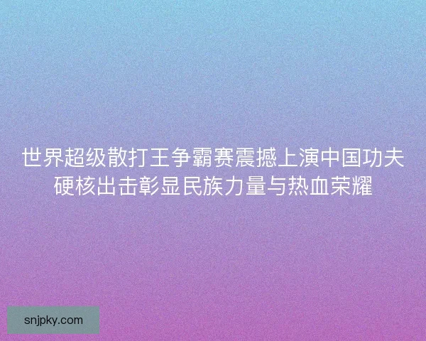 世界超级散打王争霸赛震撼上演中国功夫硬核出击彰显民族力量与热血荣耀